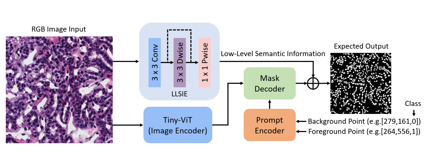 SPPNet: A Single-Point Prompt Network for Nuclei Image Segmentation 